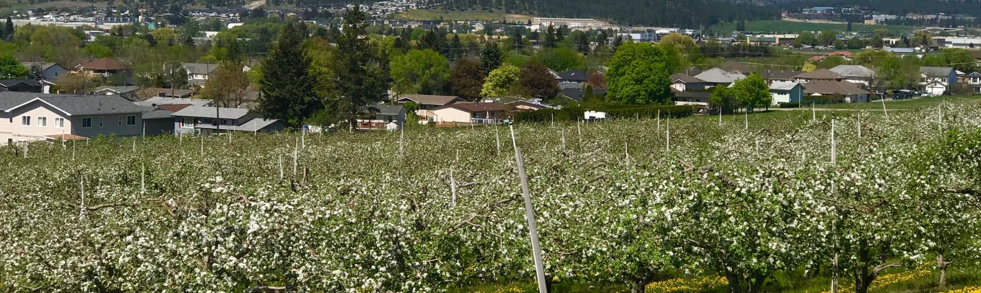 BC Home Sales Show Little Change in April BC Home Sales Show Little Change in April