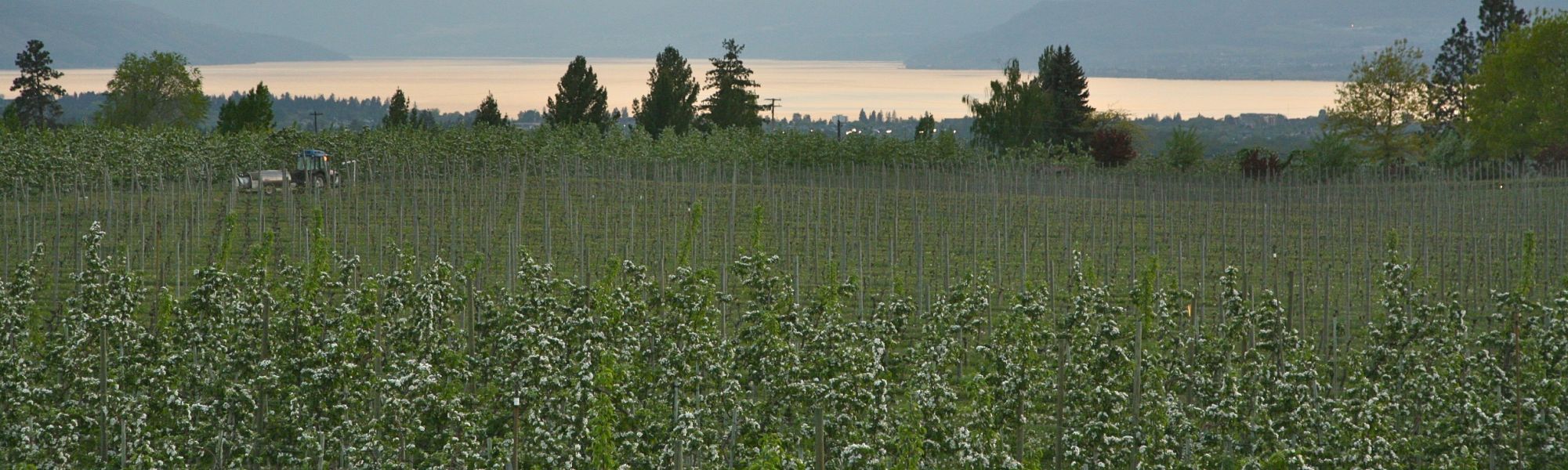 Cool Things to do in Kelowna in Summer