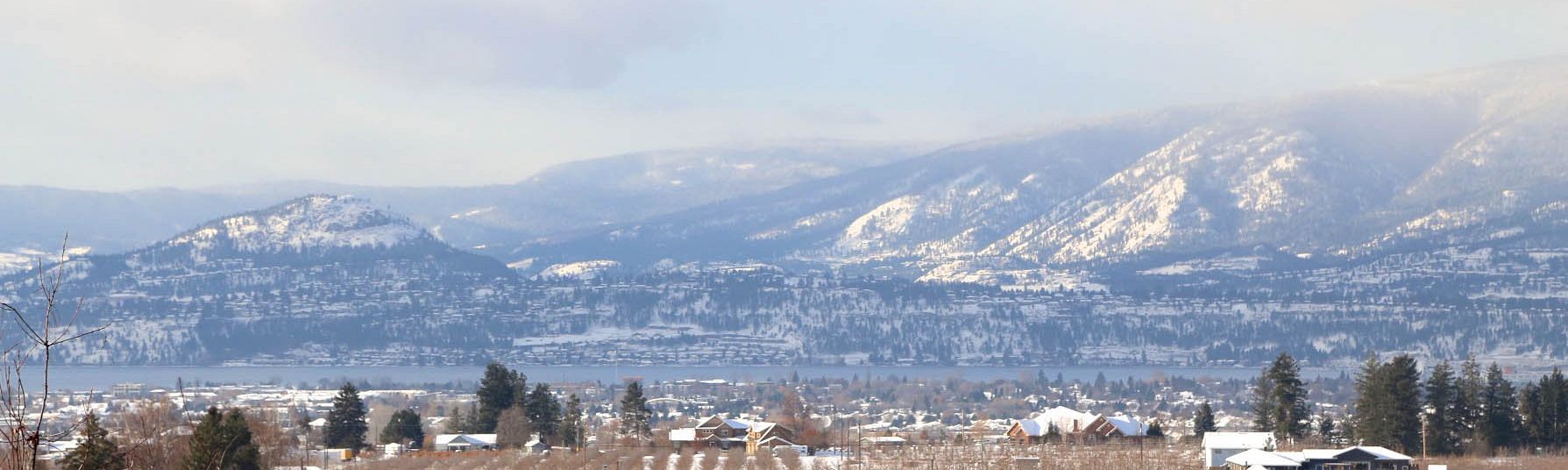 Local Residential Real Estate Market Closes 2020 on High Note