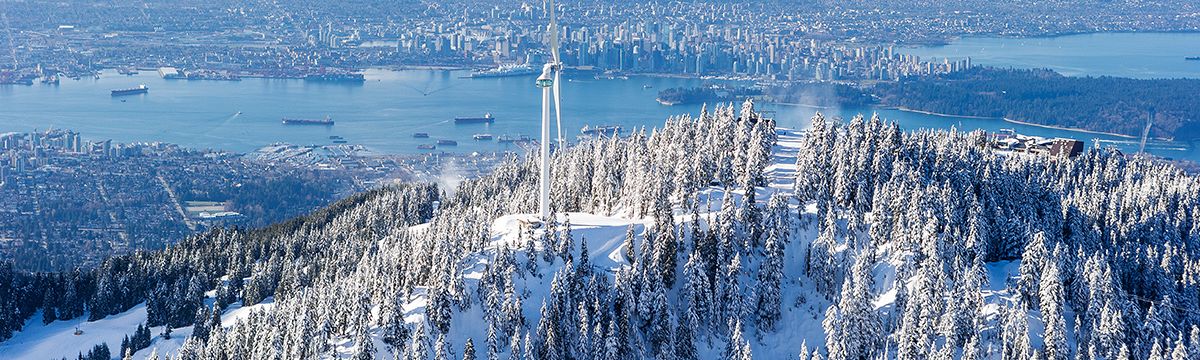 Canada’s ‘Energizer Bunny’ Housing Market: 2021 Forecasts