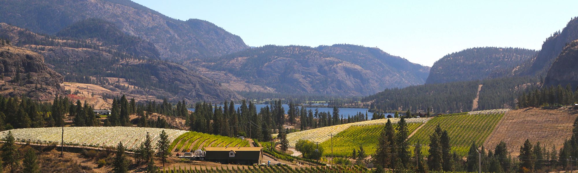 Kelowna successful in getting 40 acres out of Agricultural Land Reserve