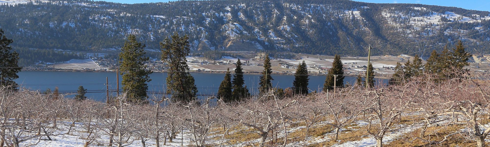 Local Residential Real Estate Markets Get Early Jump on Spring Season