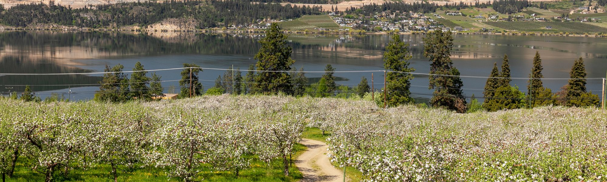 Local Residential Real Estate Inventory Trending Upwards