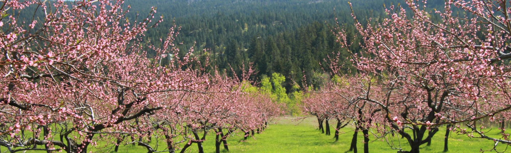 Local Residential Real Estate Showing Healthy Inventory ahead of Spring