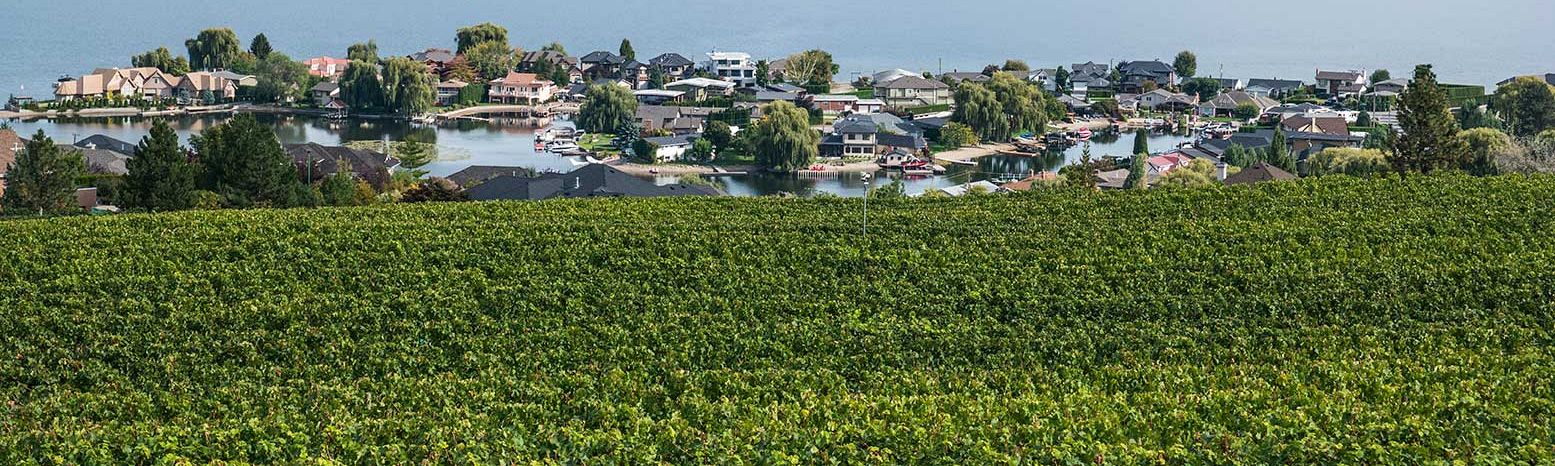 Local Residential Real Estate Activity Remains Tempered Amid Uncertainty 