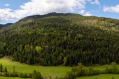 DL5135 Highway 33 E Kelowna Photo 3