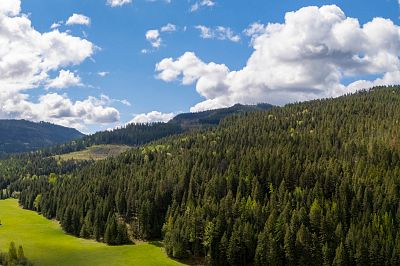 DL5135 Highway 33 E Kelowna Photo 1