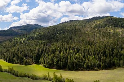 DL5135 Highway 33 E Kelowna Photo 2