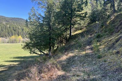 DL5135 Highway 33 E Kelowna Photo 7
