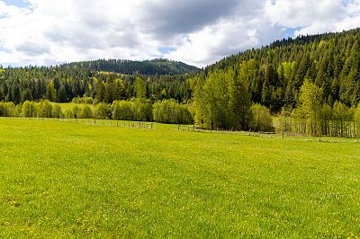 13375 Highway 33 E Kelowna Photo 9