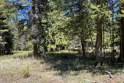 13375 Highway 33 E Kelowna Photo 13